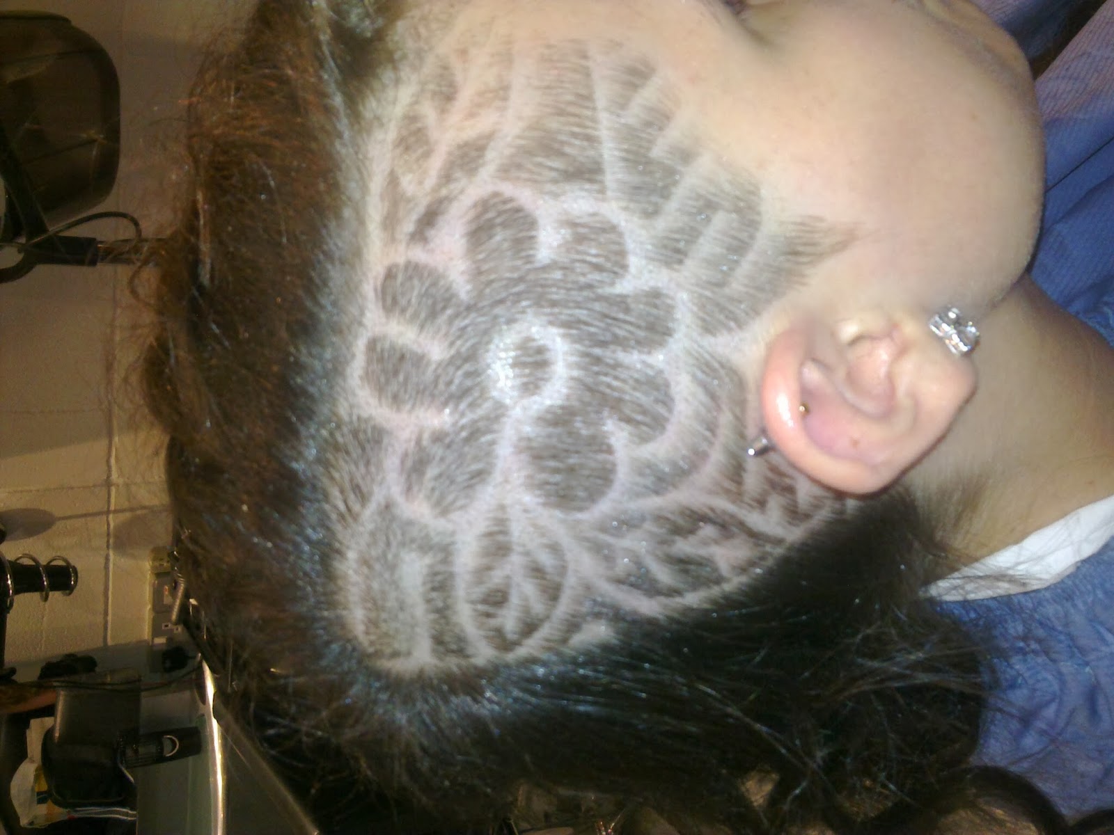 Kut Above Creations, photograph 5.